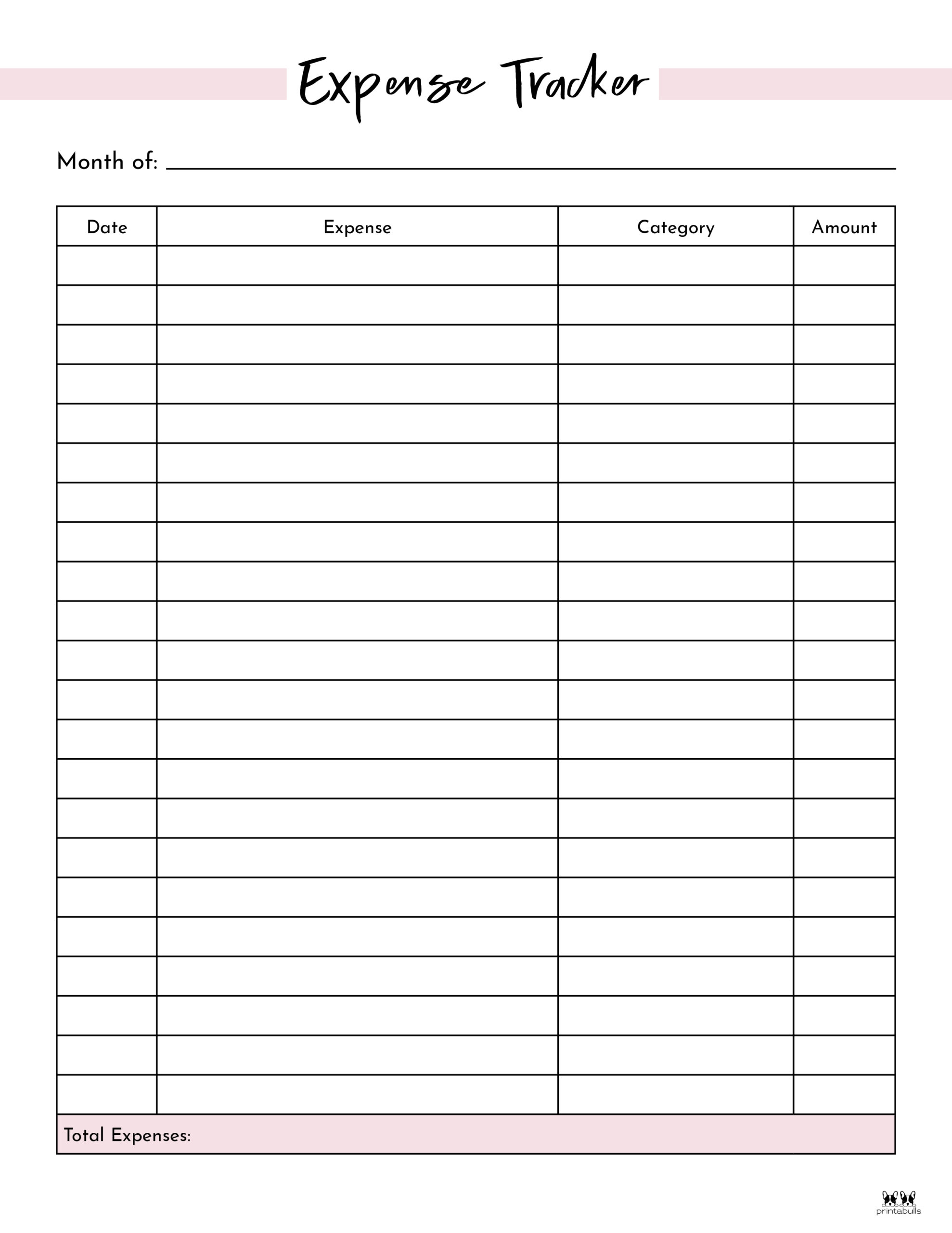 Free Expense Tracker Printable Happy Planner Dolfnest