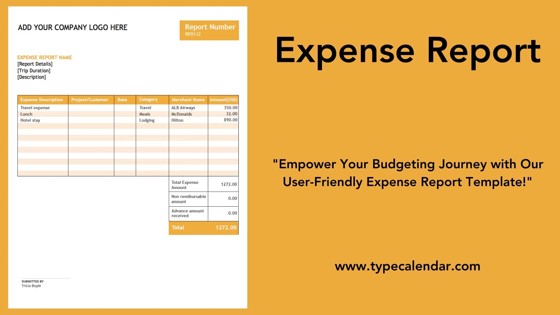 How To Use Expense Report Template In Excel Infoupdate