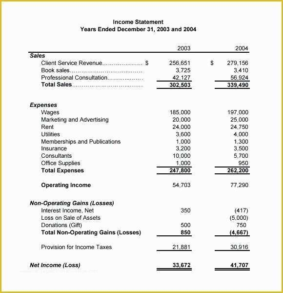 Simple Income Statement Template Free Of Simple Financial Statement 